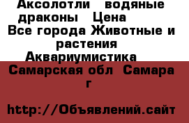 Аксолотли / водяные драконы › Цена ­ 500 - Все города Животные и растения » Аквариумистика   . Самарская обл.,Самара г.